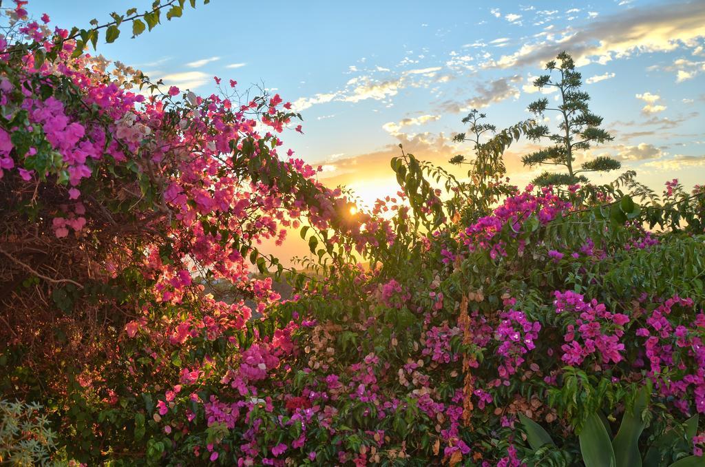 Finca La Tosca เกีย เด อิโซรา ภายนอก รูปภาพ